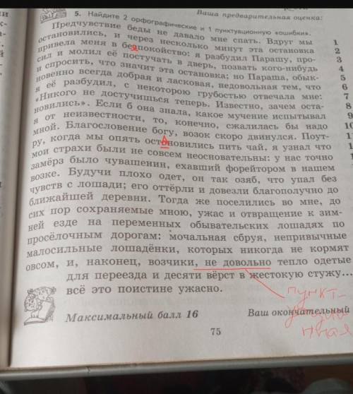 Найдите 2 орфографические и 1 пунктационную