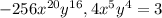 -256x^{20} y^{16} , 4x^{5} y^{4} =3