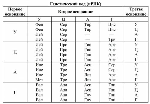 Используя таблицу генетического кода и принцип комплементарности, установите состав гена ДНК, по кот