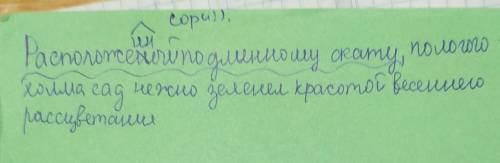куда идет причастный оборот в предложении расположенный по длинному скату пологого холма сад нежно з
