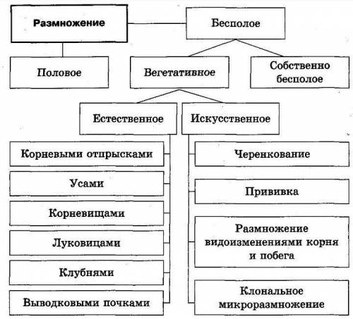 Что такое плод? Состовьте таблицу << Виды плодов и их организация>>