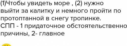 Что бы увидеть море нужно выйти за калитку и не много пройти по протоптанной в снегу тропинке мимо з