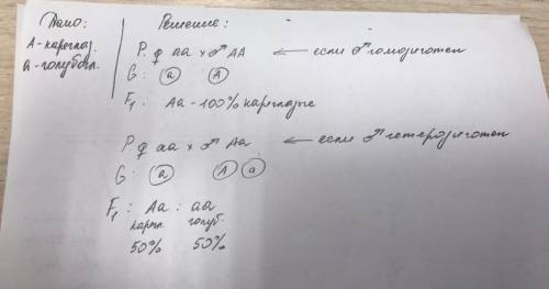 Кареглазый мужчина женился на голубоглазой женщине, какова вероятность рождения кареглазого ребенка?