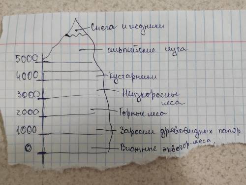 Нарисуйте схему смены высотных поясов в горах, если у их подножия простираются степи.