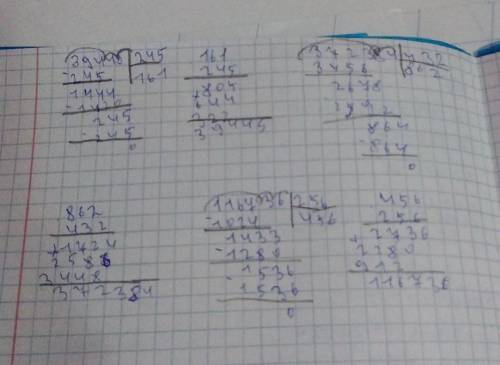 11 домашние задание вычесли столбиком зделои проверку39445:245 372384:432 116736:256