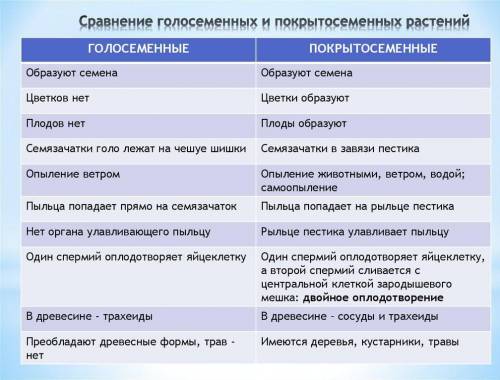 Ребят сделайте таблицу Особенности голосеменных |Особенности покрыто семенных,‼️ ‼️