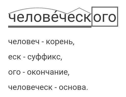 Слово человеческого по составу