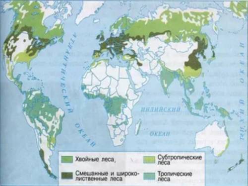 Нужна карты лесных поясов