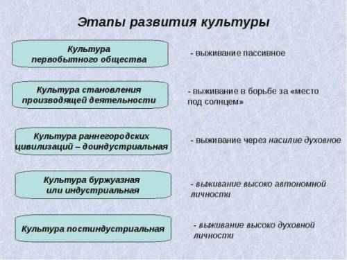 Как проходит процесс создания культуры?