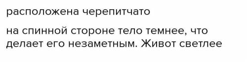 Тіло риби маєформу. Це забезпечує. Тіло вкрито, вона розташована. Таке розташування маєзначення. На