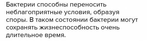 В связи с чем бактерии могут существовать в неблогапприетных условиях