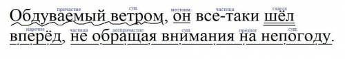 Обдуваемый ветром он все-таки шёл вперёд не обращая внимание на непогоду. Разобрать предложение под