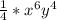 \frac{1}{4} * x^{6} y^{4}