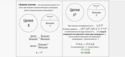 Какие бывают виды золотого сечения?