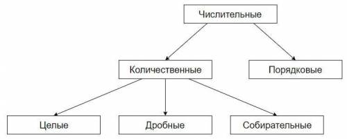 Записать словами числительные и определить их разряд по структуре : 12; 456; 78; 90; 80; 55; 15; 34;