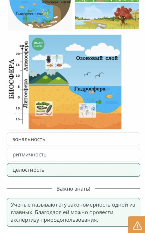 Строение и состав географической оболочки По рисункам определи закономерность географической оболочк