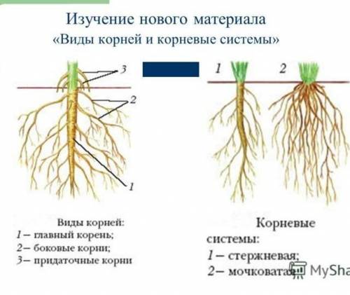 А как рисовать тут я не знаю