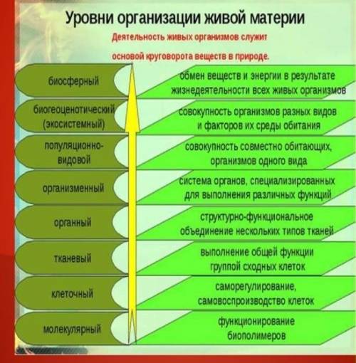 2. Какие уровни организации жизни вы знаете? по биологии