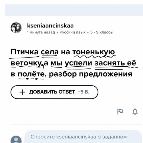 Птичка села на тоненькую веточку а мы успели заснять её в полёте. разбор предложения