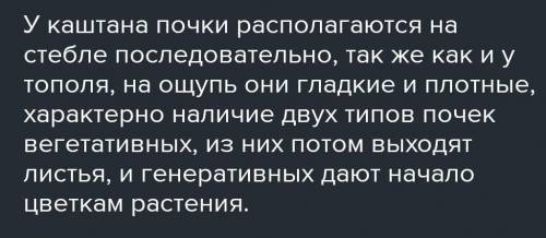 1. Рассмотрите внимательно ветку цветковой растения? (НЕ КАШТАН И ТОПОЛЬ)