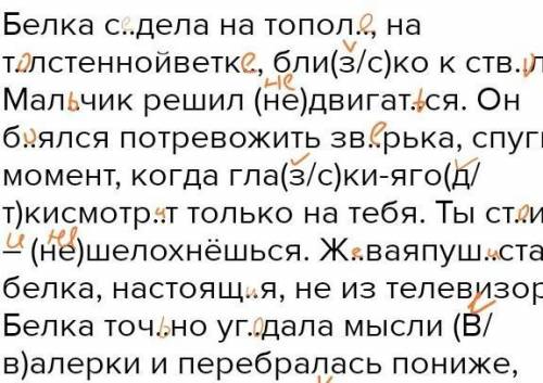 Спиши текст,определи спряжение гдаголов. Белка с..дела на топол.., на т..лстеннойветк.., бли(з/с)ко