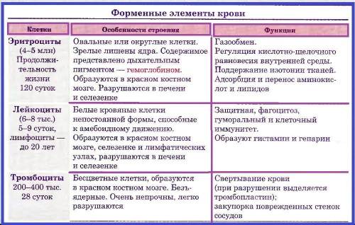 Яке значення формених елементів для організму людини !