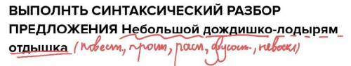 ВЫПОЛНТЬ СИНТАКСИЧЕСКИЙ РАЗБОР ПРЕДЛОЖЕНИЯ Небольшой дождишко-лодырям отдышка