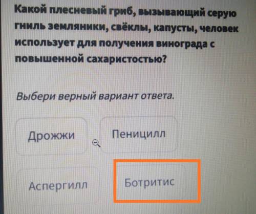 Какой плесневый гриб вызывающее серую гниль земляники