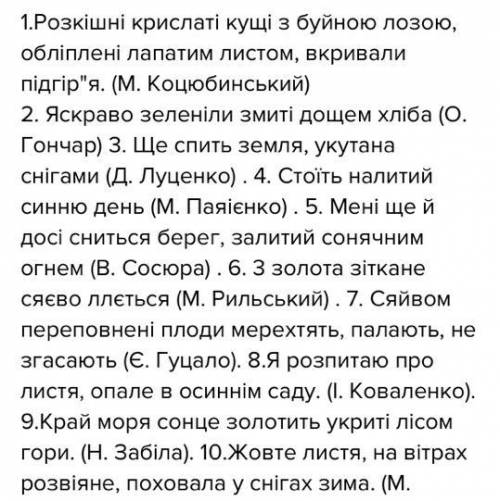 Запишіть речення ( обов’язково ускладнене) з присвійним прикметником.