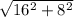 \sqrt{16^{2} +8^{2}