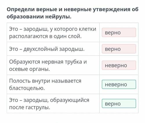 Определи верные и неверные утверждения об образовании нейрулы. Это – зародыш, у которого клетки расп