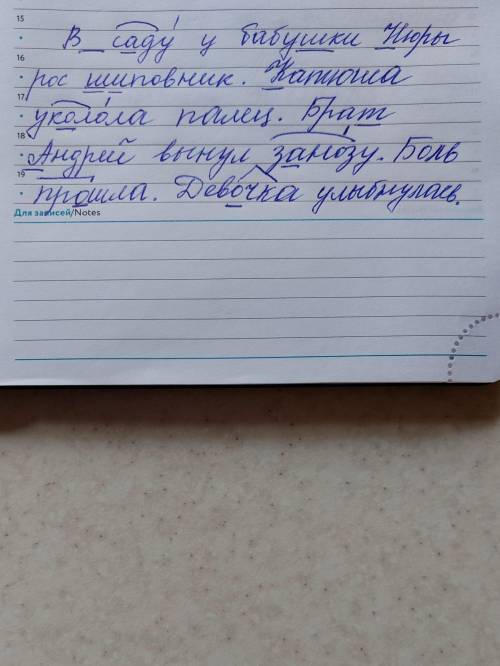 Спиши, подчеркни орфограммы Шиповник. В саду у бабушки Нюры рос шиповник. У шиповника острые шипы. К