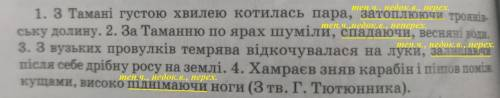 Випишіть діеприслівники.Визначте їх час і вид .Вкажіть,від яких дієслів перехідних чи не перехідних