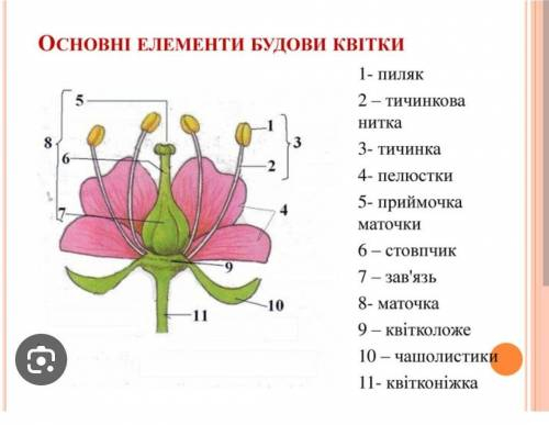 У меня дз по биологии