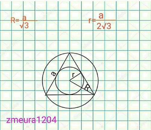 Знайдіть радіуси описаного навколо правильного трикутника та вписаного в нього кіл якщо їхня різниця